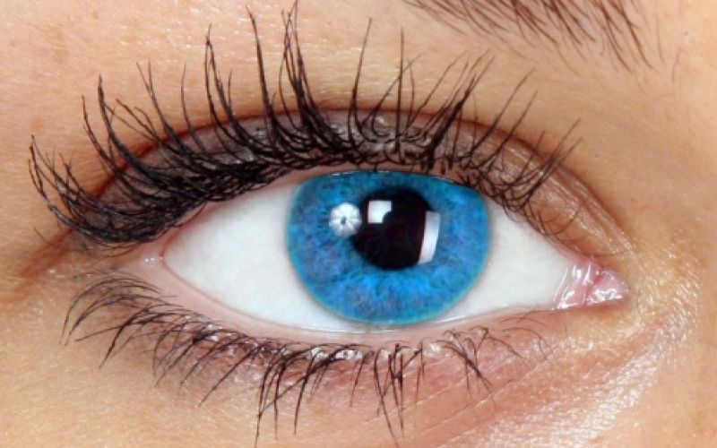 fábrica de lentes de contacto fábrica de lentes de contacto